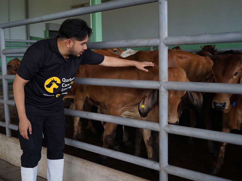 Qurban Distribution Photo 3